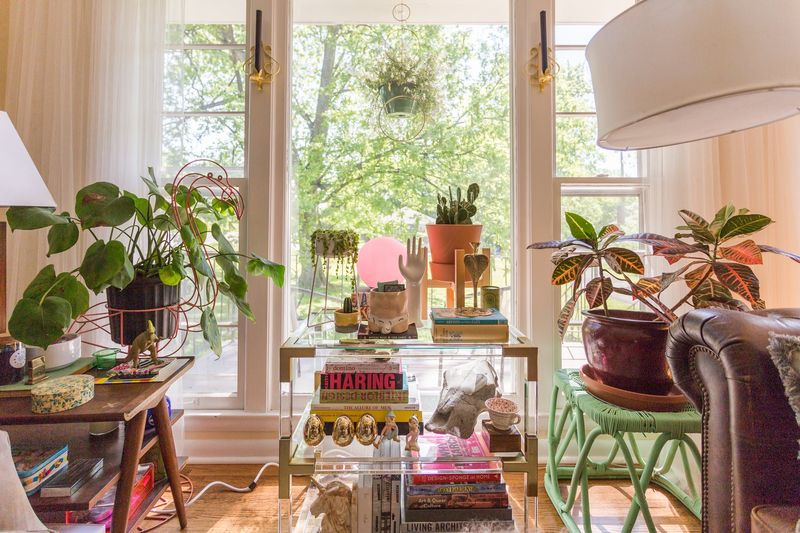 Beautiful houseplants for the space