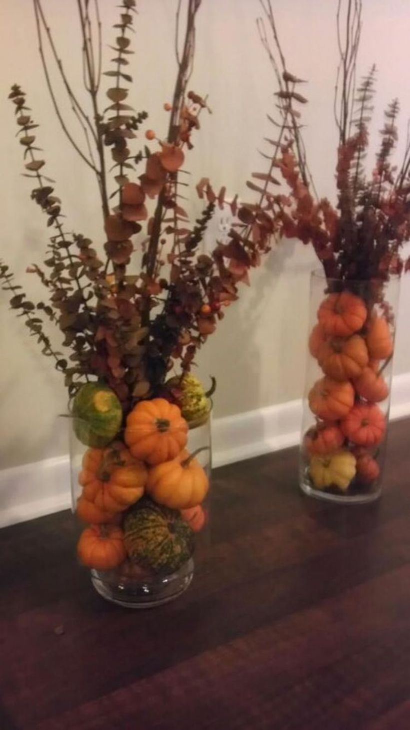 House plants arrangement using pumpkins in glass