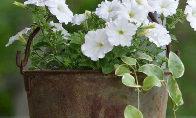 Unique-hanging-zinc-pot-planter-for-your-porch-decoration