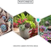 12. garden potting ideas