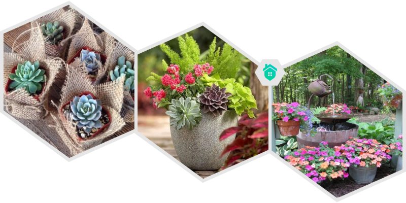 12. garden potting ideas