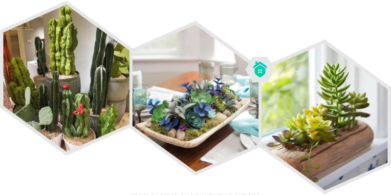 2. faux cactus succulent projects