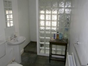 Amazing glass brick shower division design ideas 13