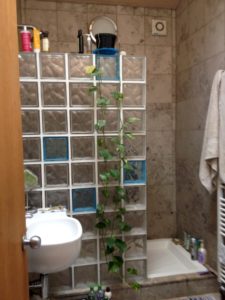 Amazing glass brick shower division design ideas 32