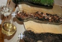 Amazing kid science's lab garden 01