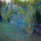 Amazing kid science's lab garden 02