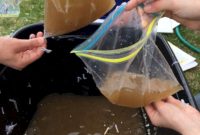 Amazing kid science's lab garden 05