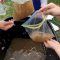 Amazing kid science's lab garden 05