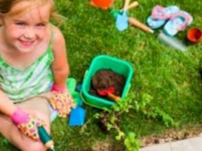 Amazing kid science's lab garden 08
