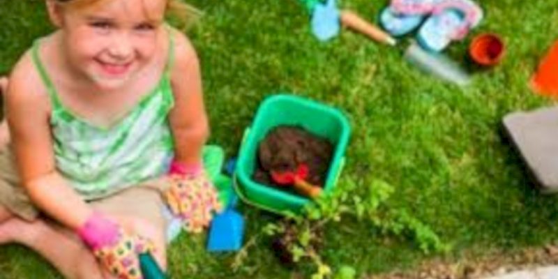 Amazing kid science's lab garden 08