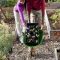 Amazing kid science's lab garden 11