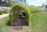 Amazing kid science's lab garden 12