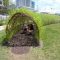 Amazing kid science's lab garden 12