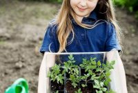 Amazing kid science's lab garden 14