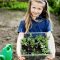 Amazing kid science's lab garden 14
