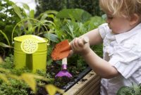 Amazing kid science's lab garden 20