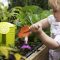 Amazing kid science's lab garden 20