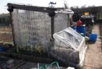 Amazing kid science's lab garden 22