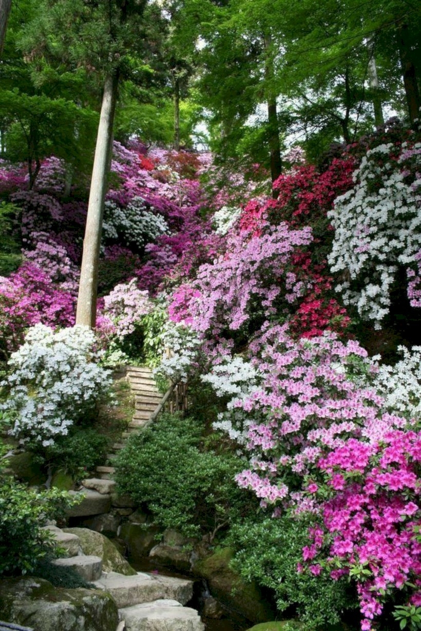 Best garden walkway to envy your visitor 46