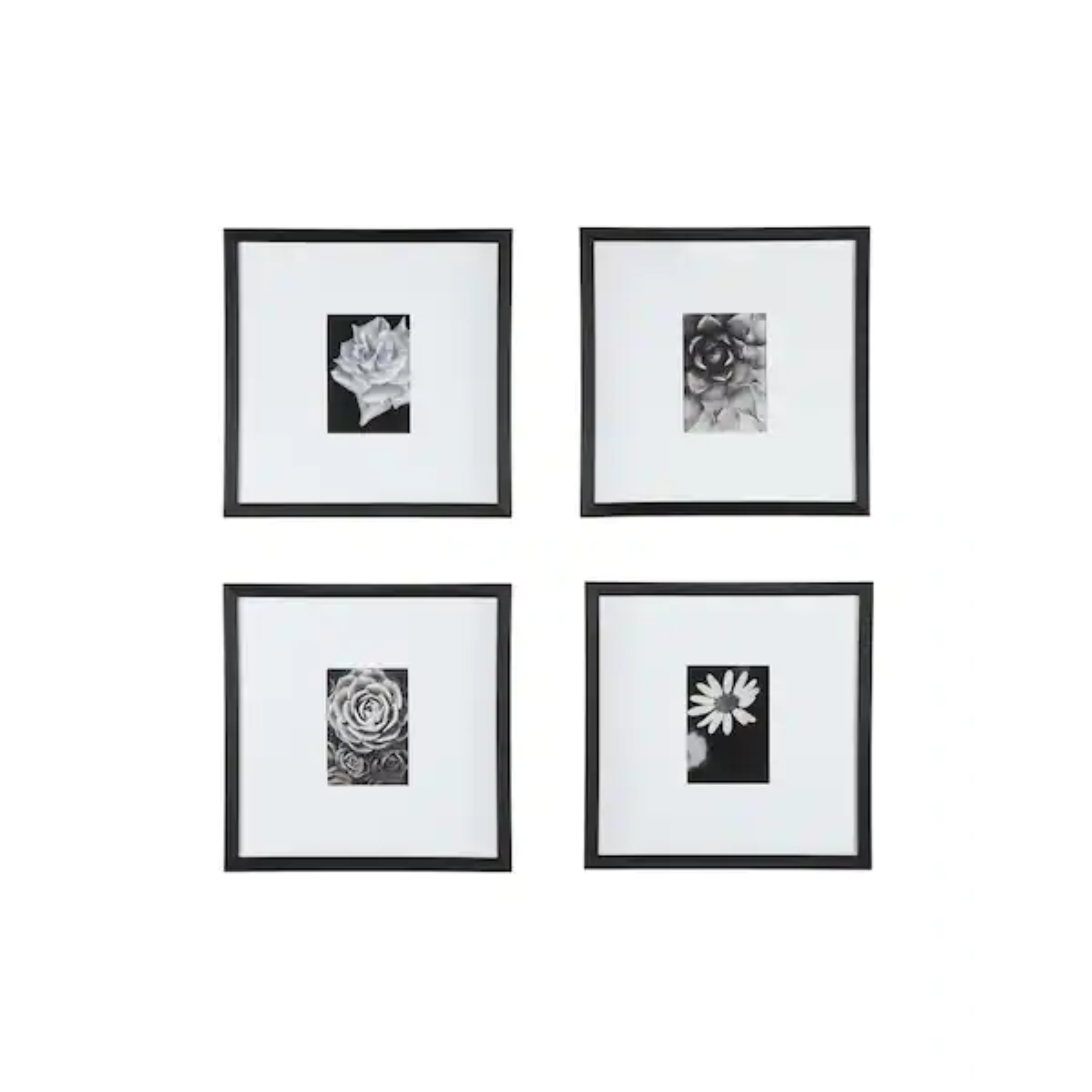 Black modern frame with white matte gallery wall picture frames (set of 4)