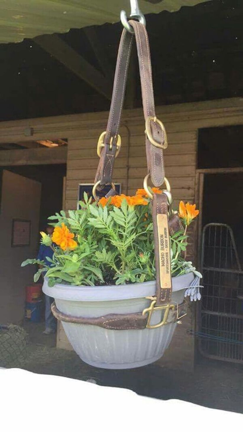 Charming outdoor hanging planters ideas to brighten your yard 07