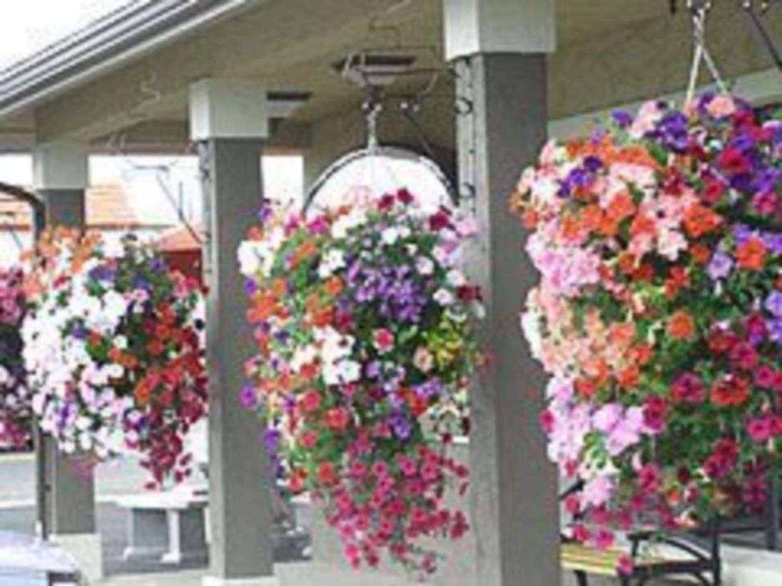 Charming outdoor hanging planters ideas to brighten your yard 28