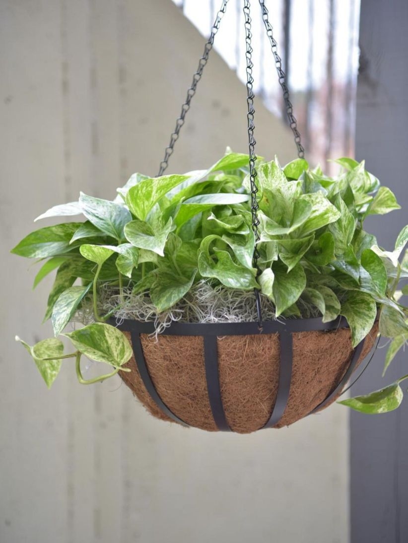 Charming outdoor hanging planters ideas to brighten your yard 32