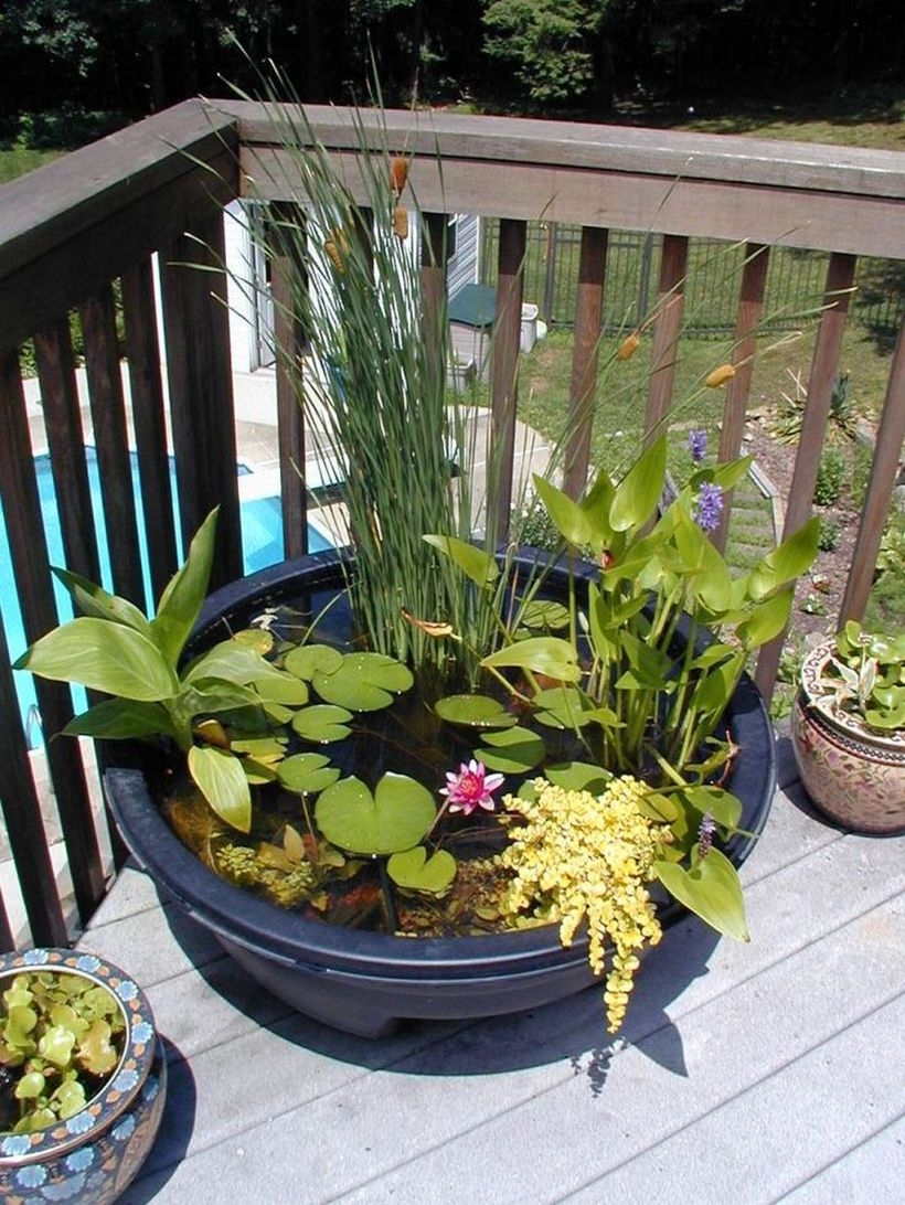 Creative garden potting ideas 03