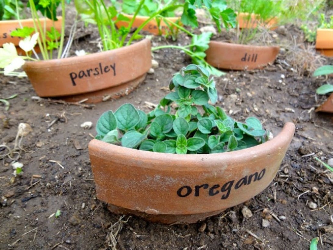 Creative garden potting ideas 05