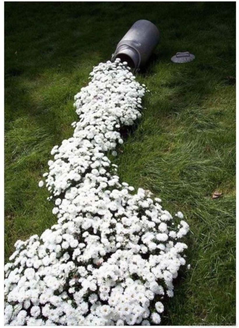 Creative garden potting ideas 08