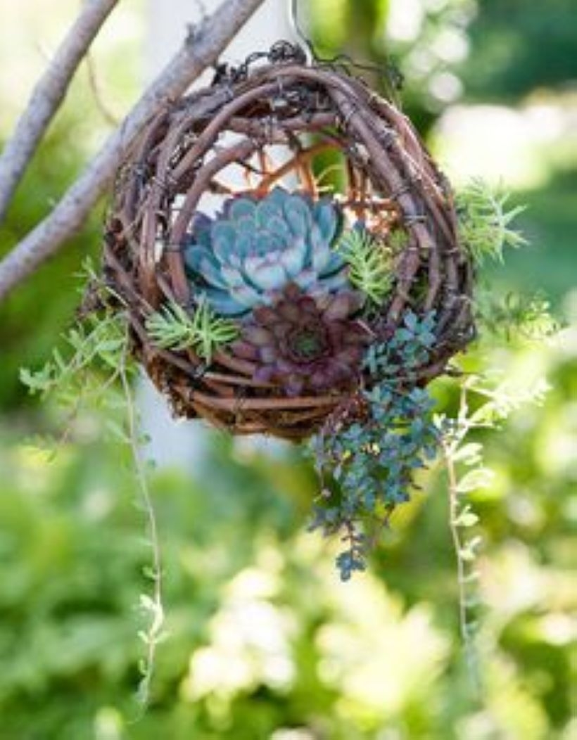 Creative garden potting ideas 17
