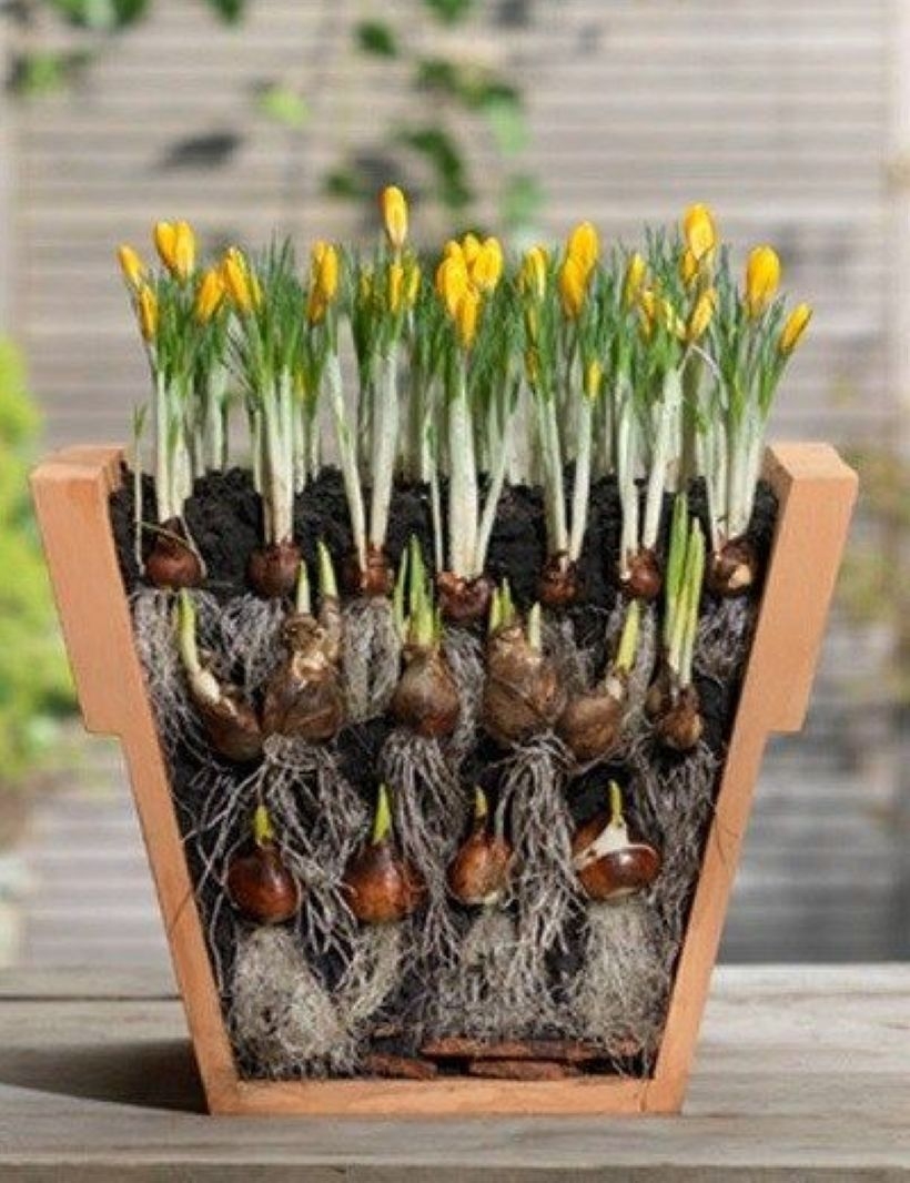 Creative garden potting ideas 18
