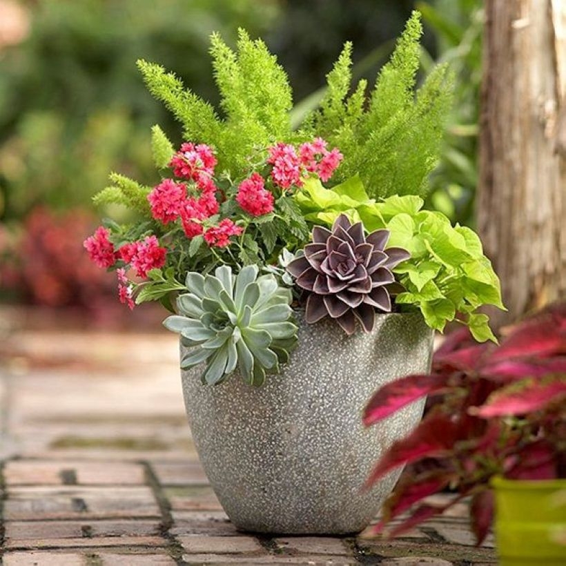 Creative garden potting ideas 19