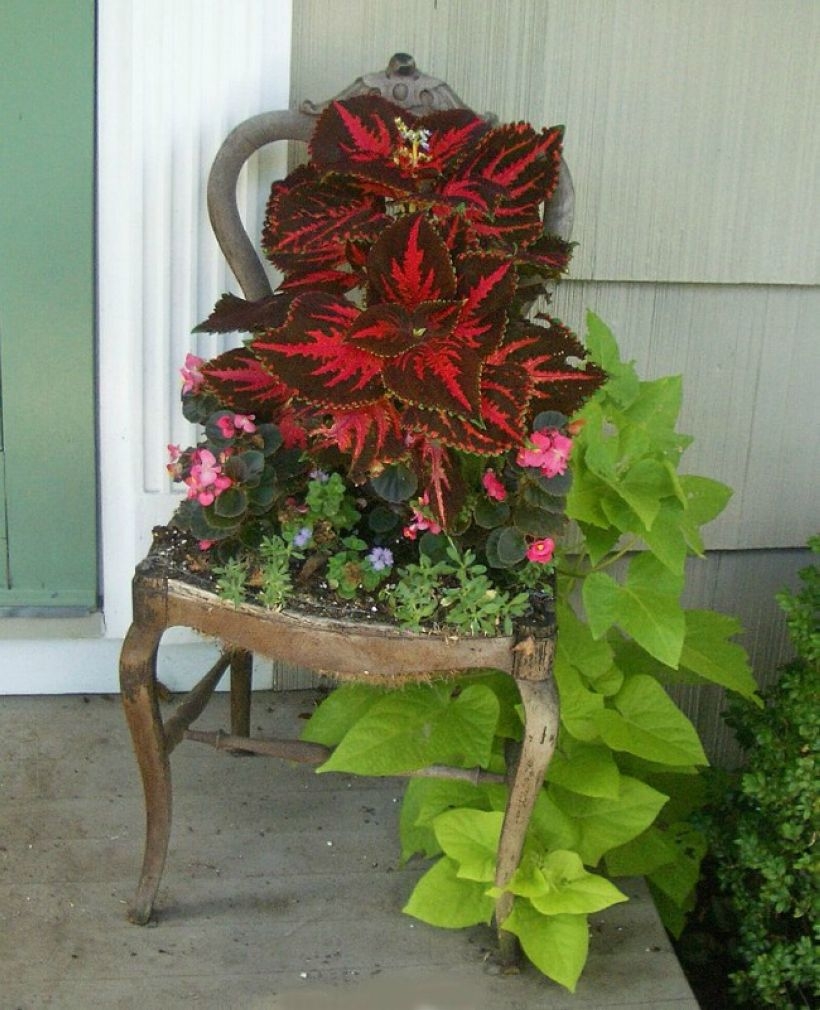 Creative garden potting ideas 24