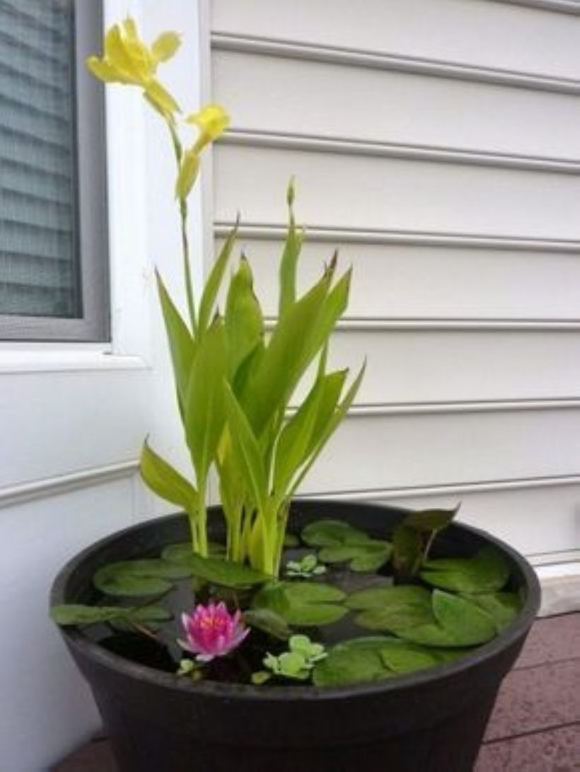 Creative garden potting ideas 25
