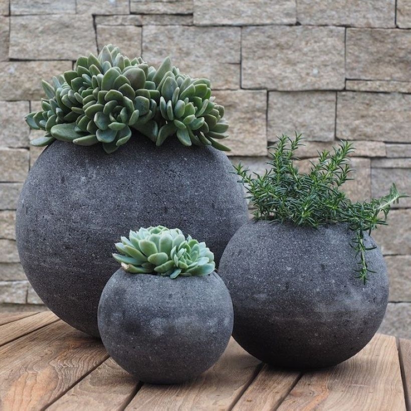 Creative garden potting ideas 26