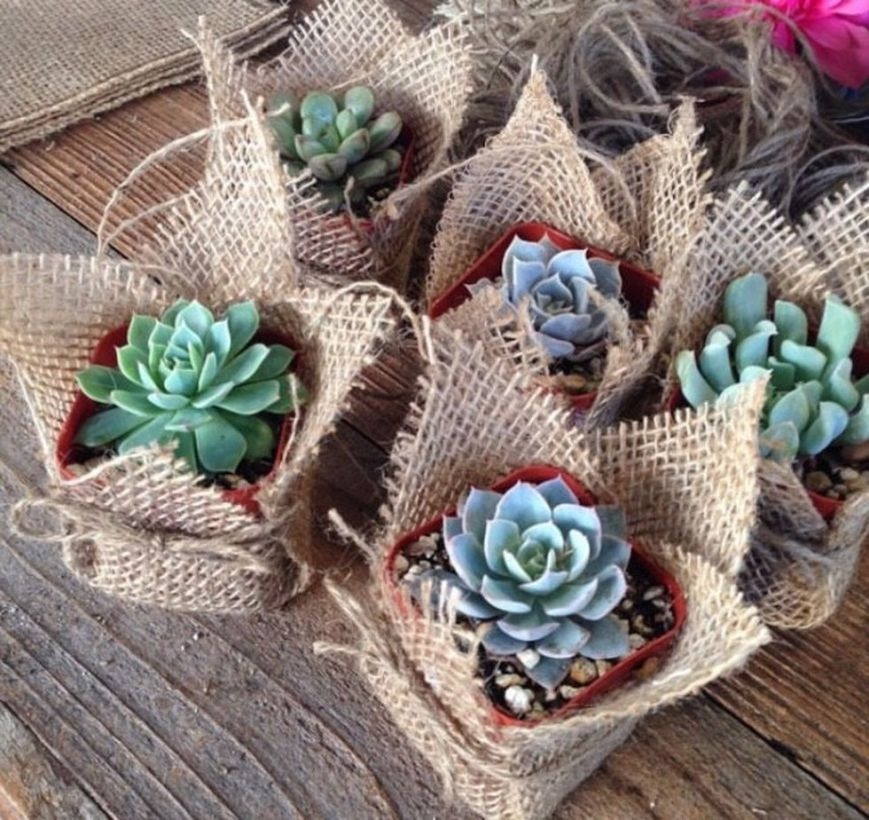 Creative garden potting ideas 27
