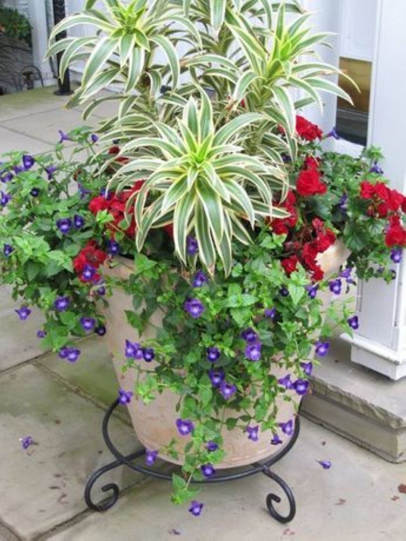 Creative garden potting ideas 35