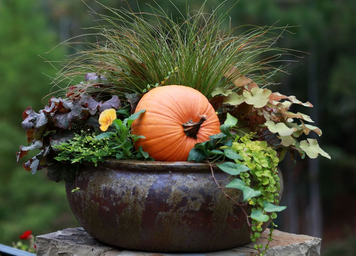 Creative garden potting ideas 43