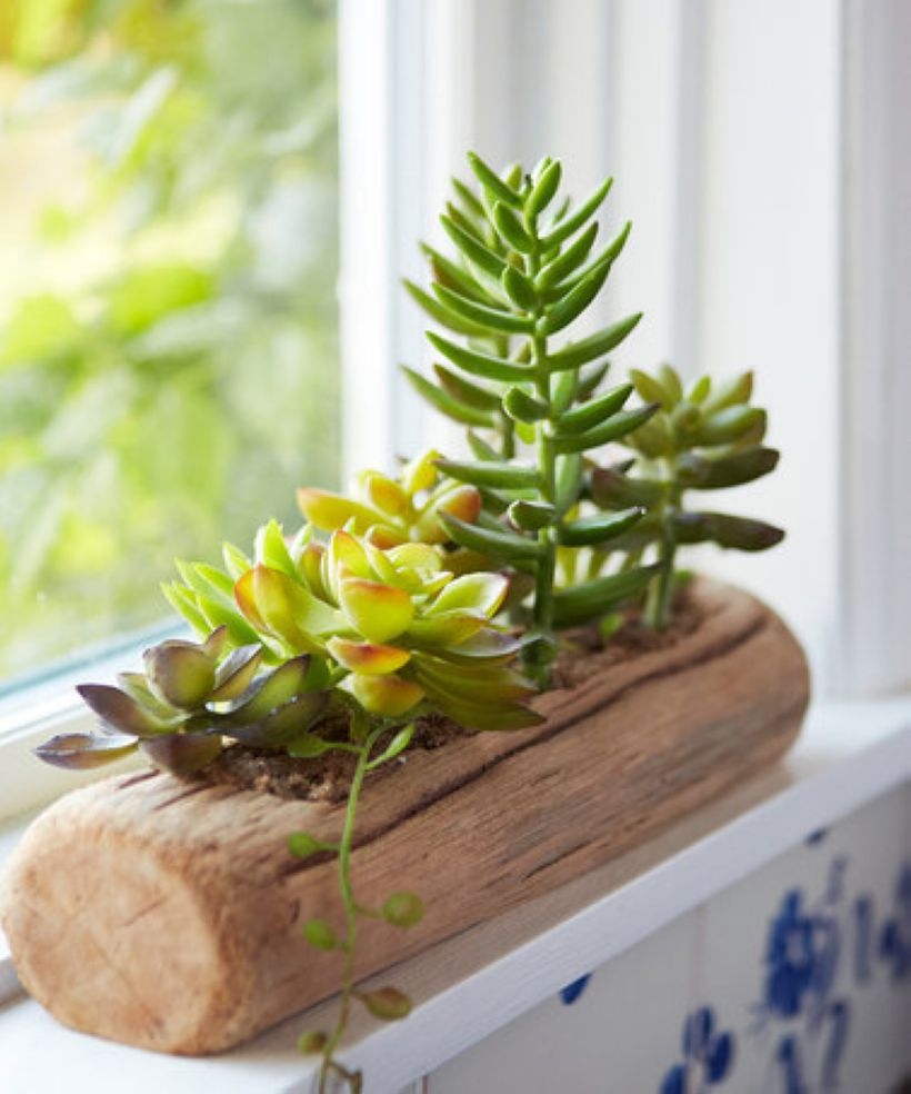 Faux cactus and succulent projects and ideas to decorate your home 08