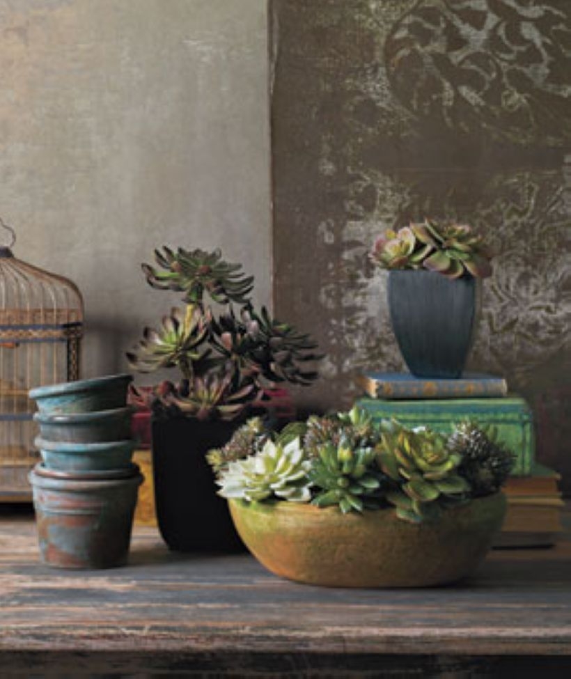 Faux cactus and succulent projects and ideas to decorate your home 14