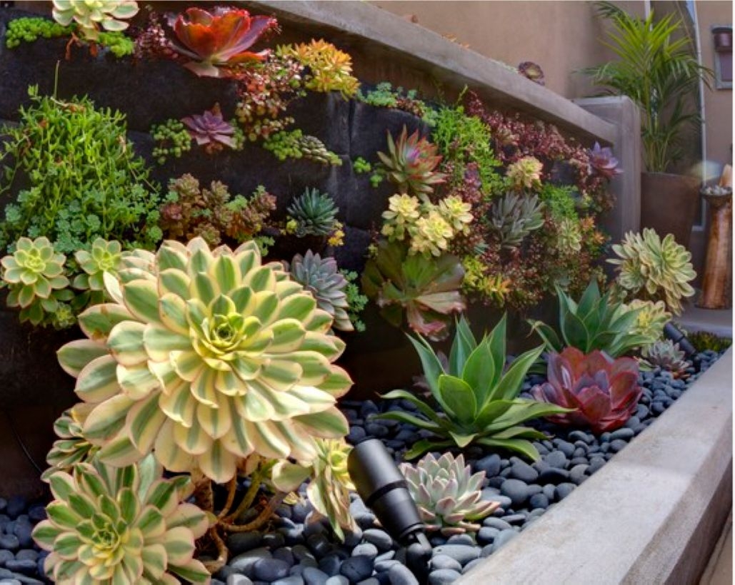 Faux cactus and succulent projects and ideas to decorate your home 19