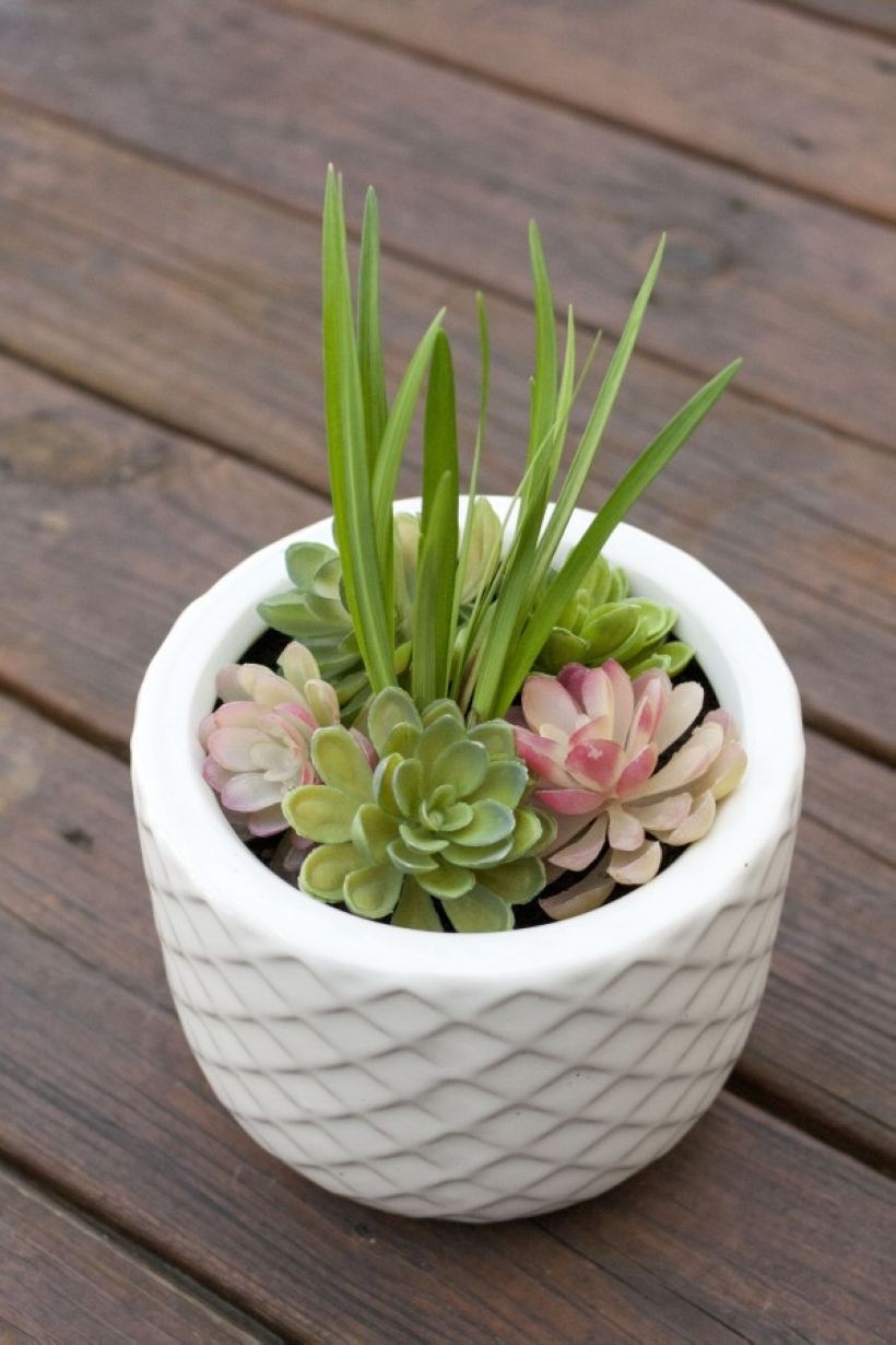Faux cactus and succulent projects and ideas to decorate your home 20