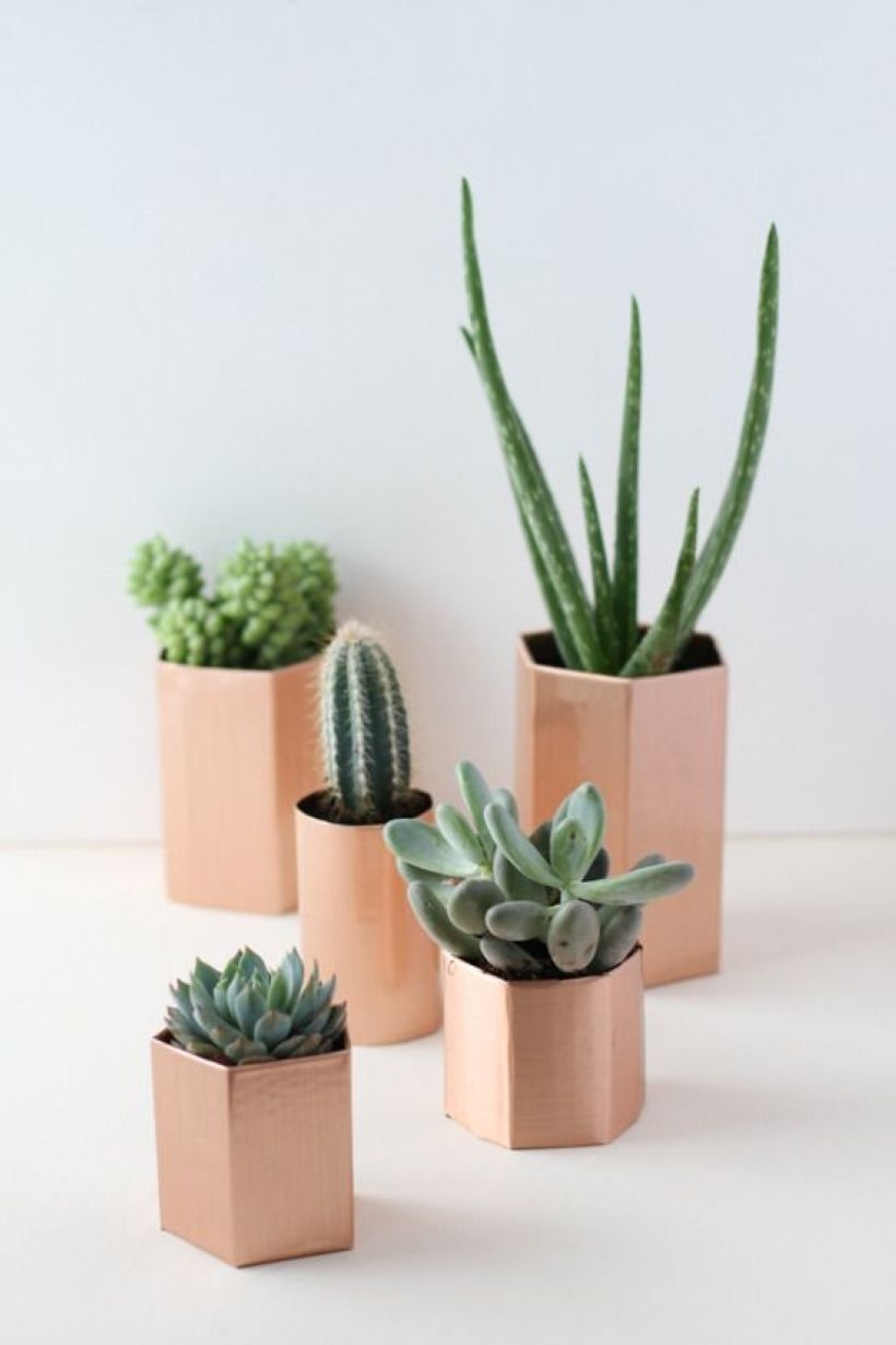 Faux cactus and succulent projects and ideas to decorate your home 28