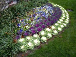Outdoor garden decor landscaping flower beds ideas 13