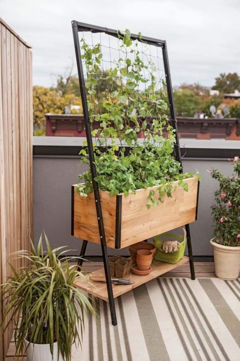 Apex trellis planter