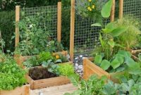 Diy garden bed and planter ideas