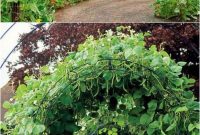 Diy friendly trellis and garden structures