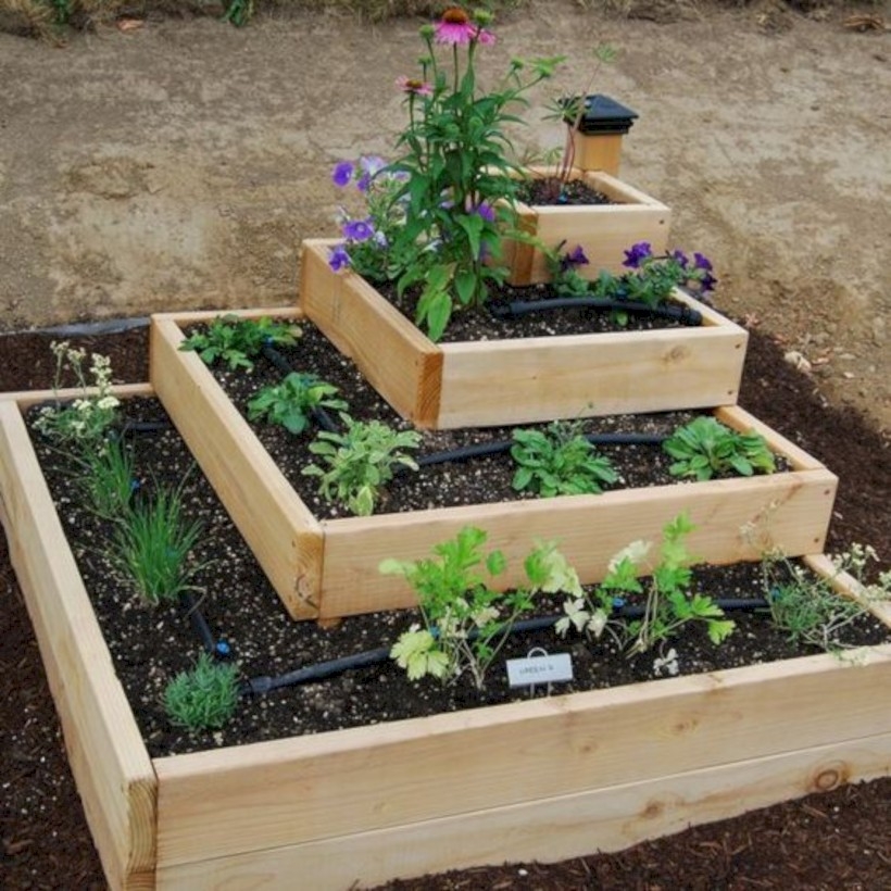 Stacked potted herbs