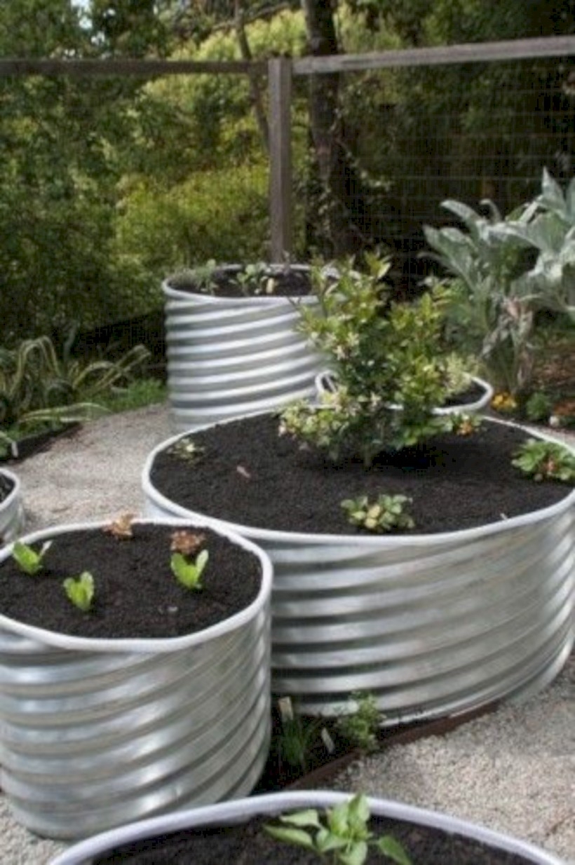 Vegetables in metal culverts
